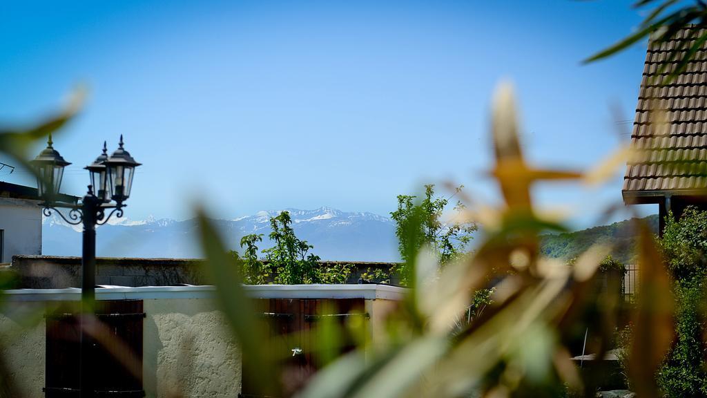 Le Castel De Larralde Hotel Assat ภายนอก รูปภาพ